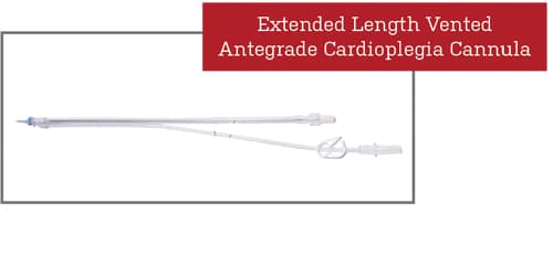 Extended-Length Cannula