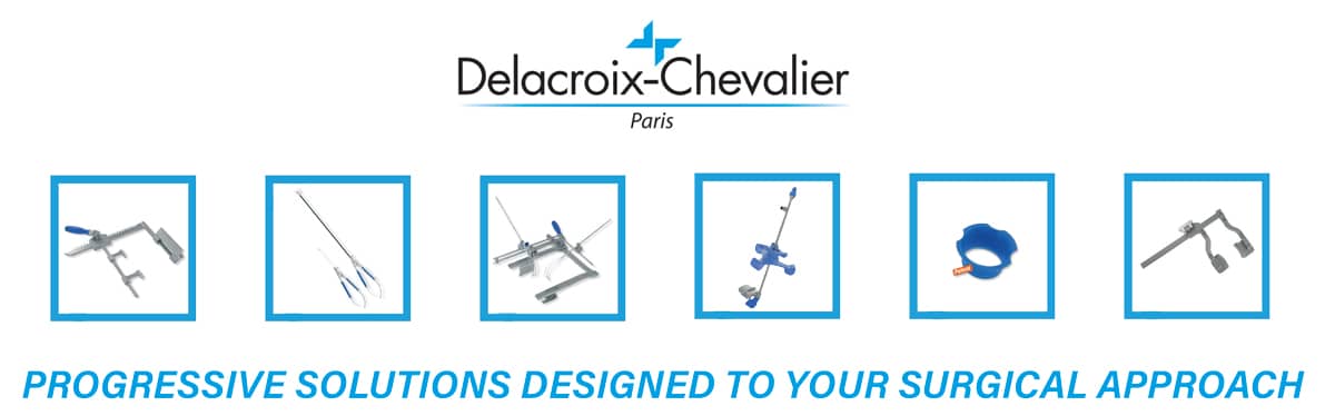 Delacroix Chevalier