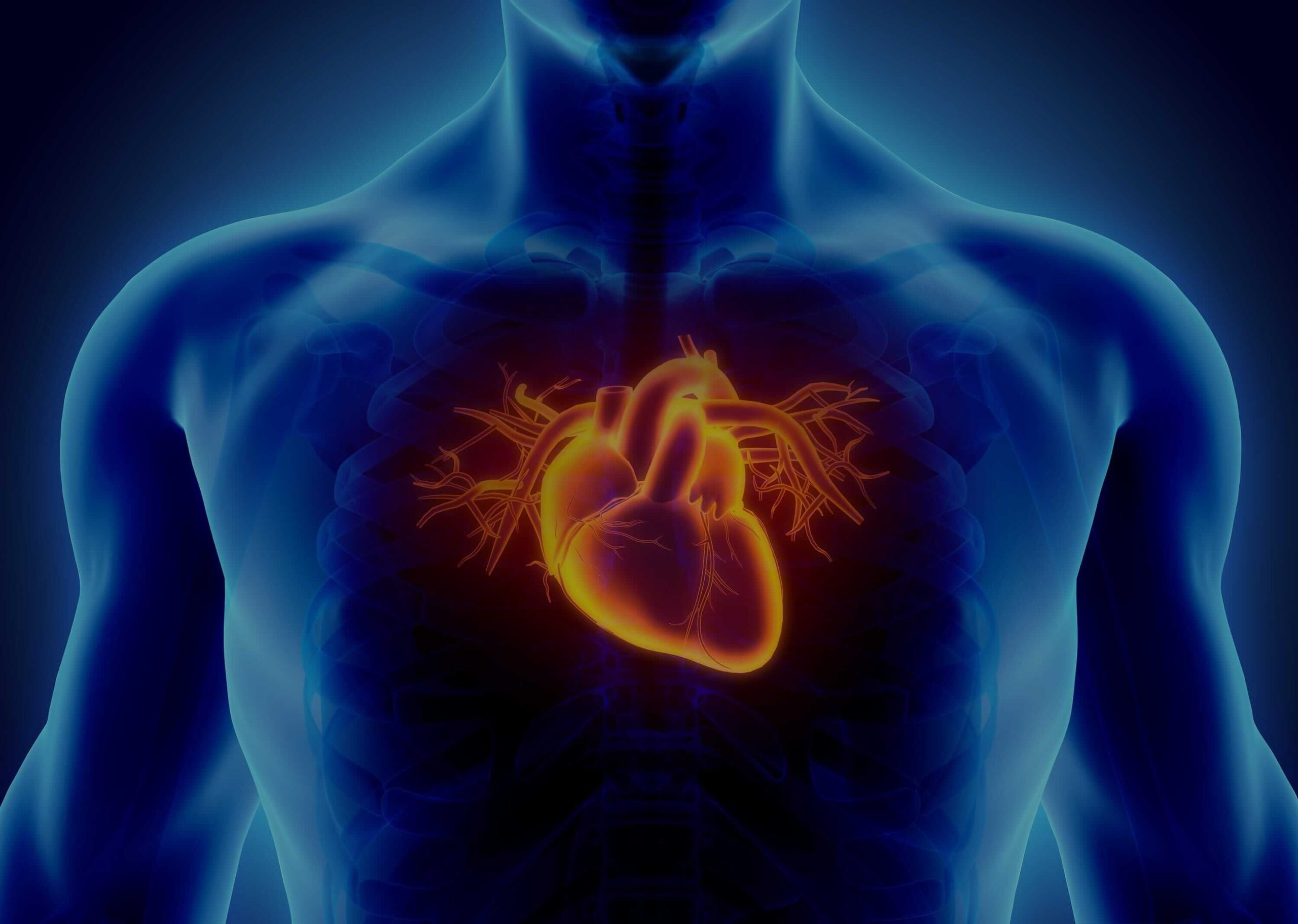 cardiac-medical-devices-bg-2x