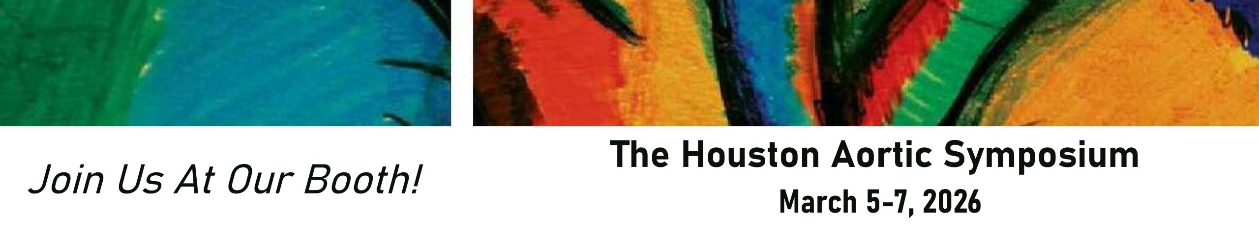 Houston Aortic Symposium